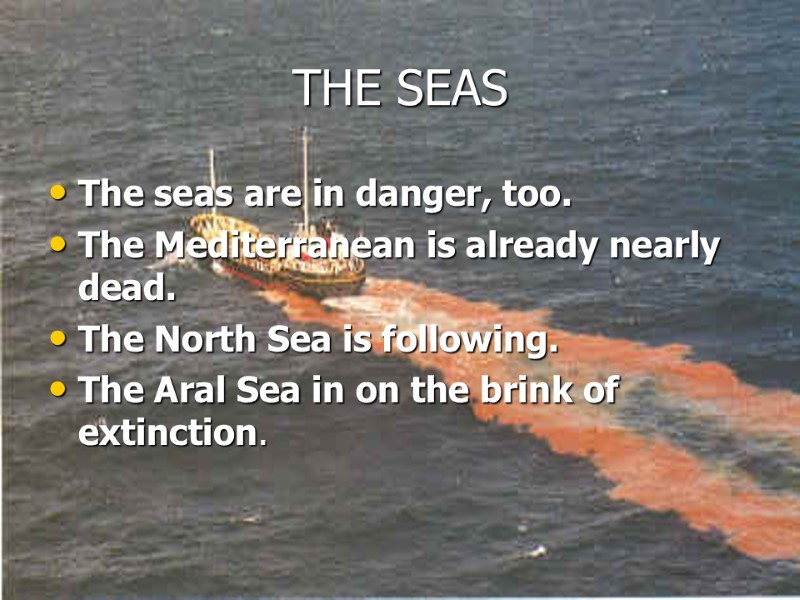 THE SEAS The seas are in danger, too.  The Mediterranean is already nearly